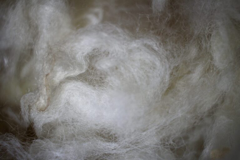 Kleiner Überlebensführer für Ihre Filzobjekte Balberg shop