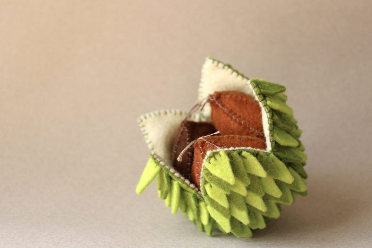 Castagnina x Balberg shop