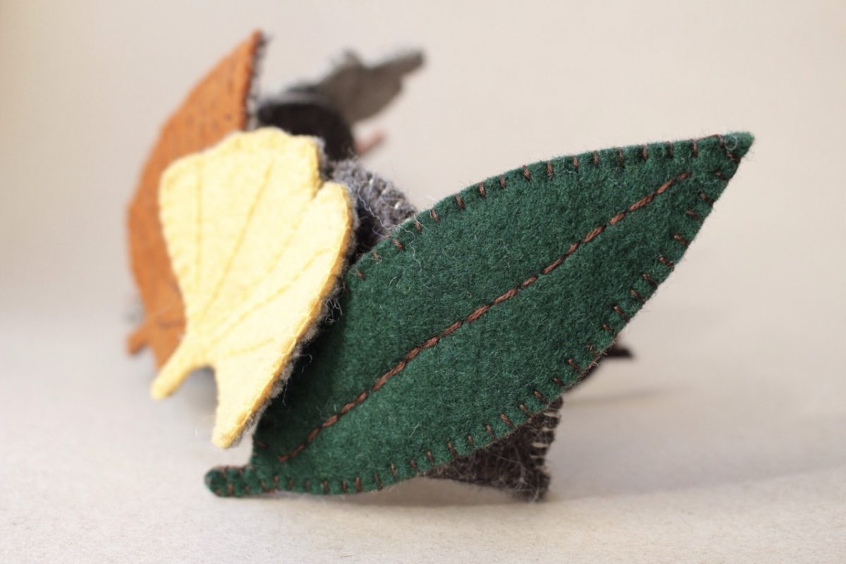 IMG_3591 - Groß IMG_3591 - Groß