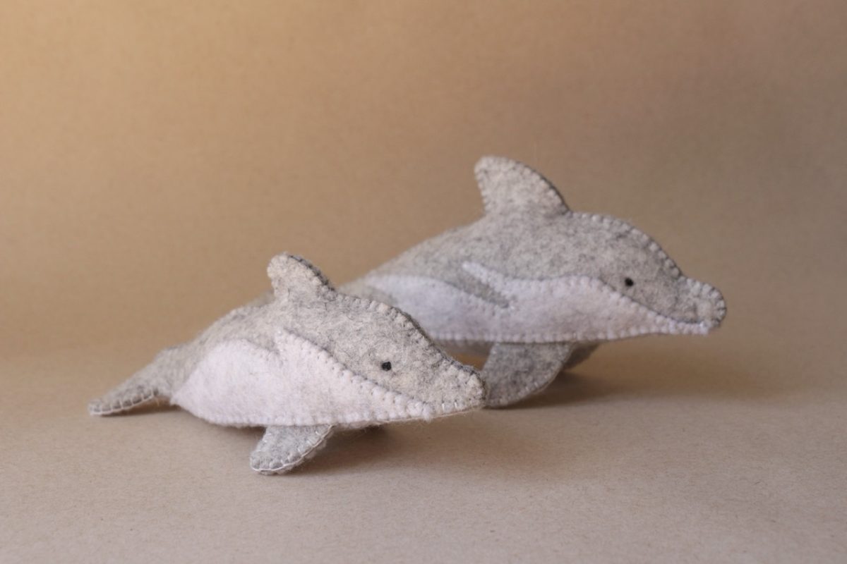 IMG_4183 - Groß IMG_4183 - Groß