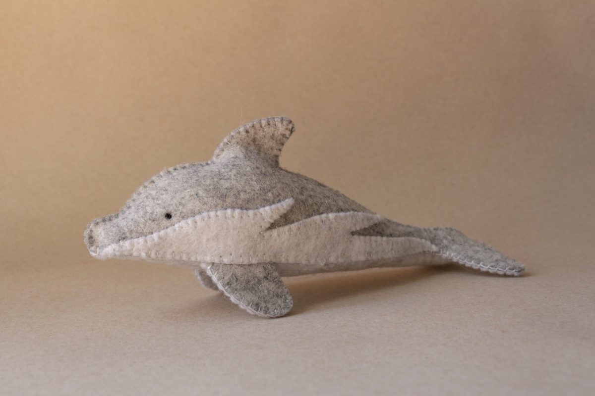 IMG_4186 - Grande IMG_4186 - Grande