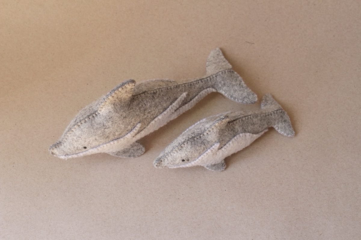 IMG_4189 - Groß IMG_4189 - Groß