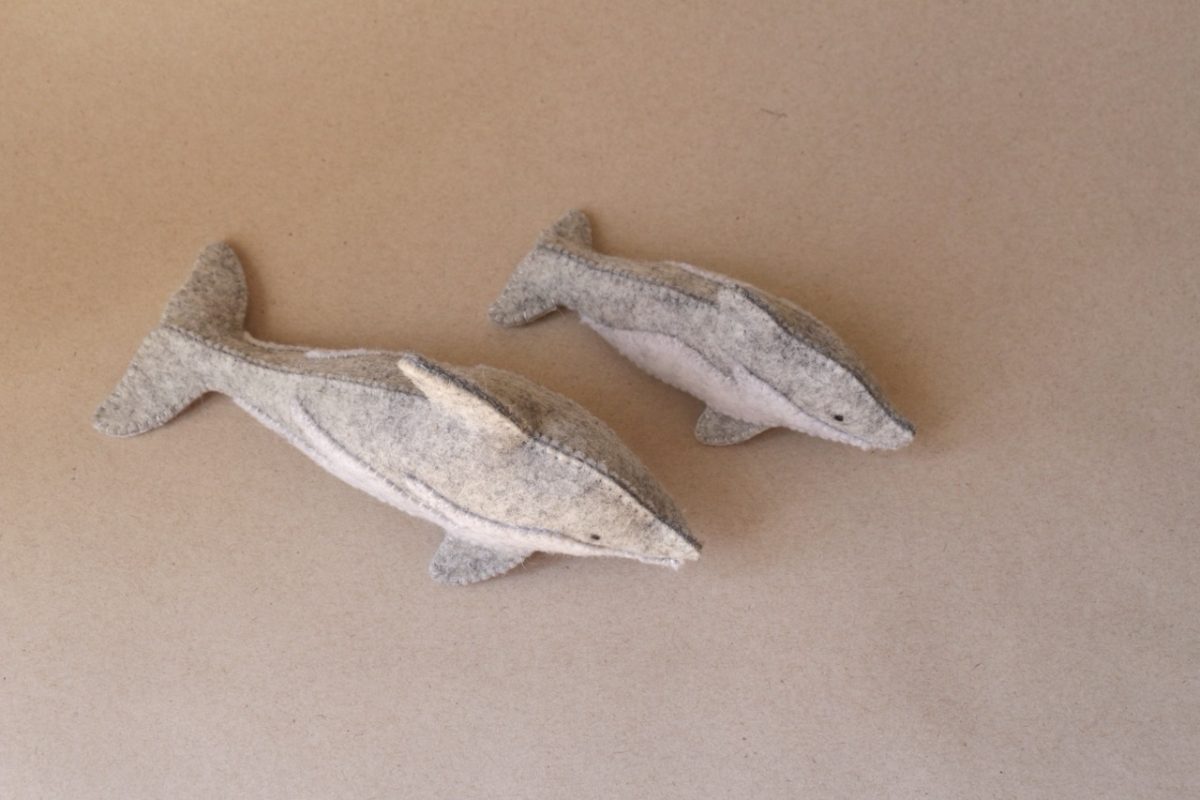 IMG_4191 - Grande IMG_4191 - Grande