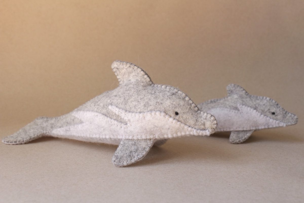 IMG_4192 - Grande IMG_4192 - Grande