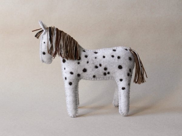 Pferd - appaloosa