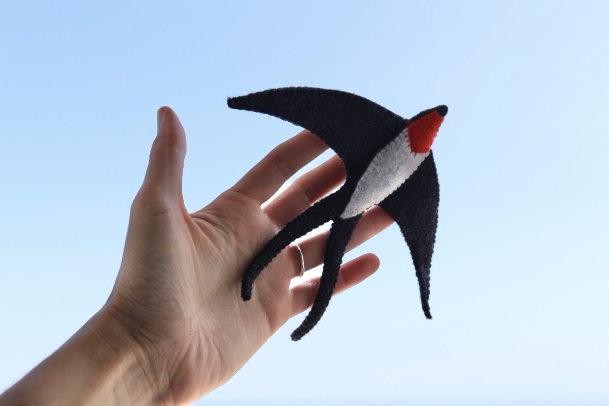 IMG_4485 - Groß IMG_4485 - Groß