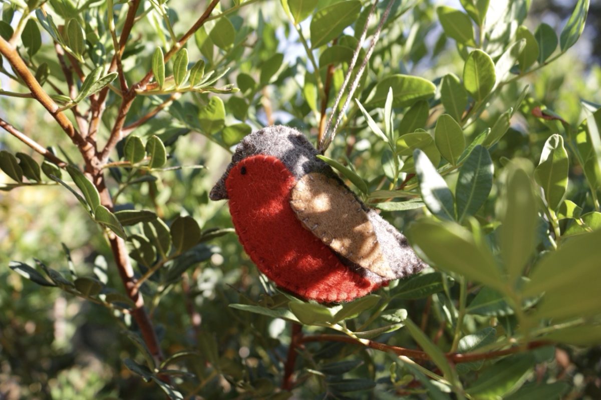 IMG_4812 - Large IMG_4812 - Large