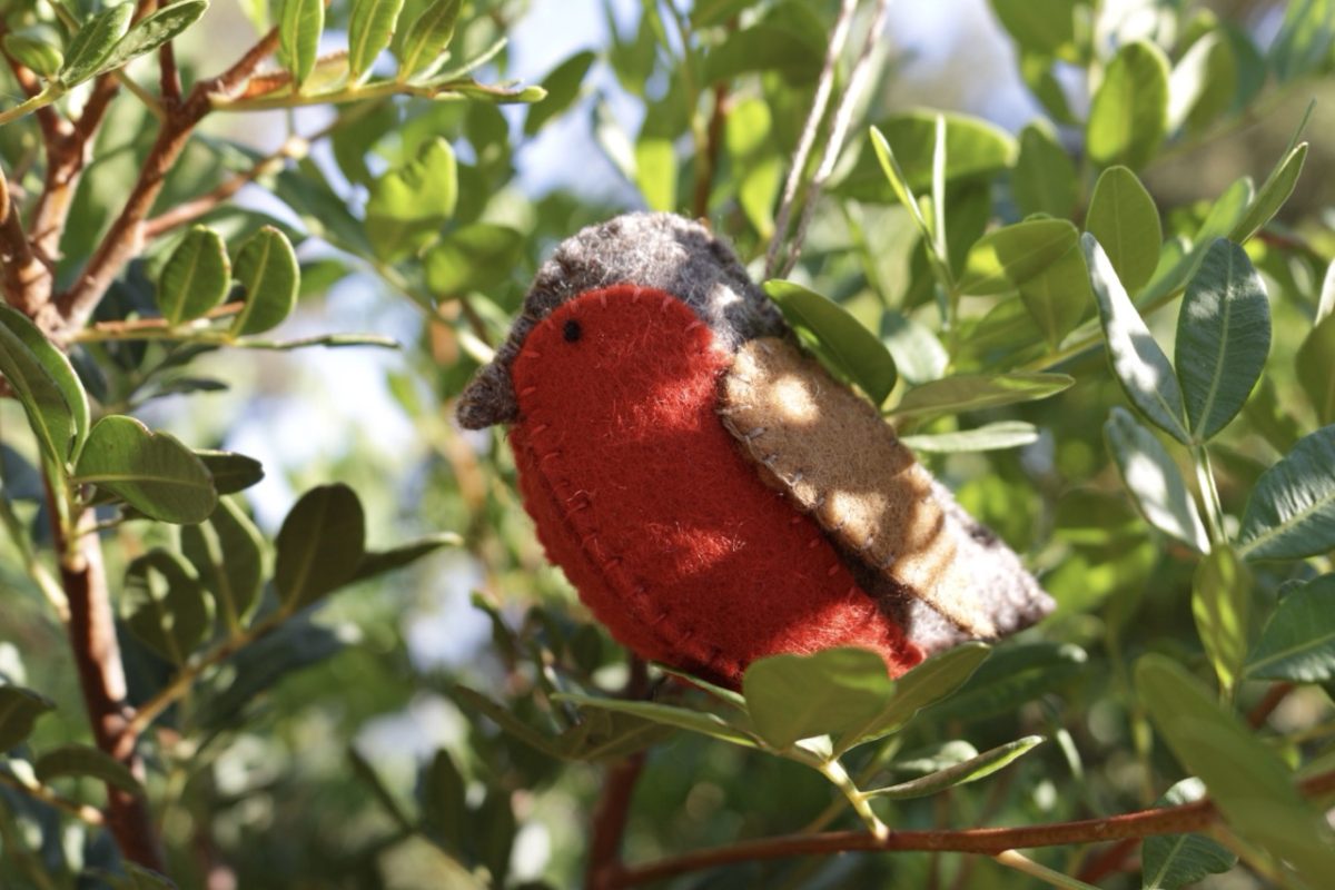 IMG_4814 - Large IMG_4814 - Large