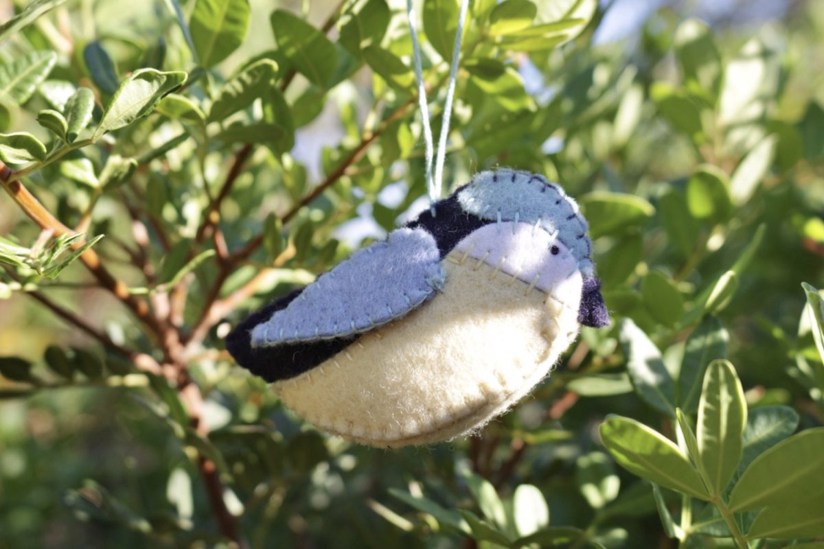 IMG_4825 – Grande IMG_4825 – Grande