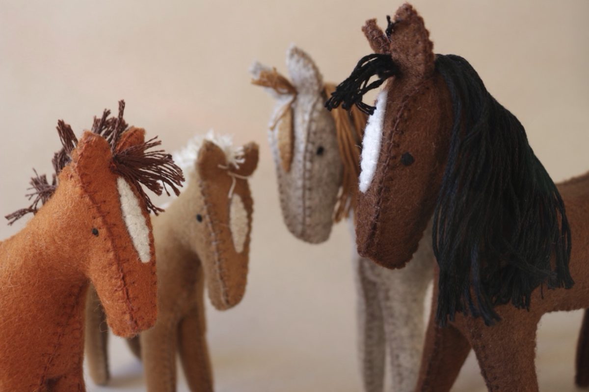 IMG_5207 - Groß IMG_5207 - Groß