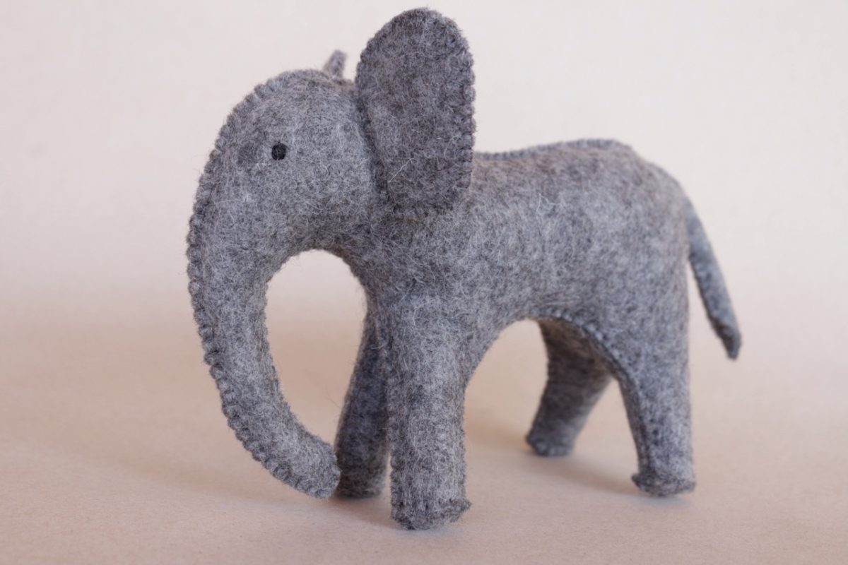 IMG_5515 - Groß IMG_5515 - Groß