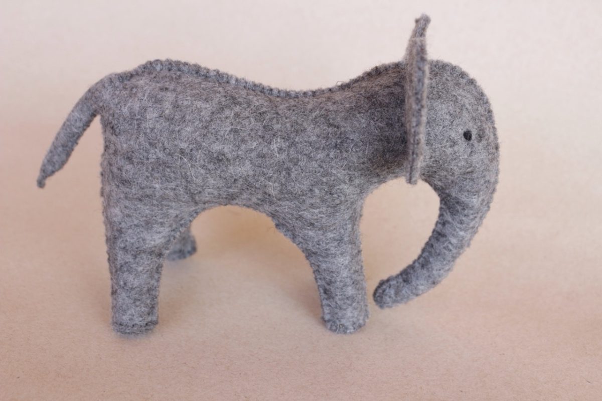 IMG_5520 - Groß IMG_5520 - Groß