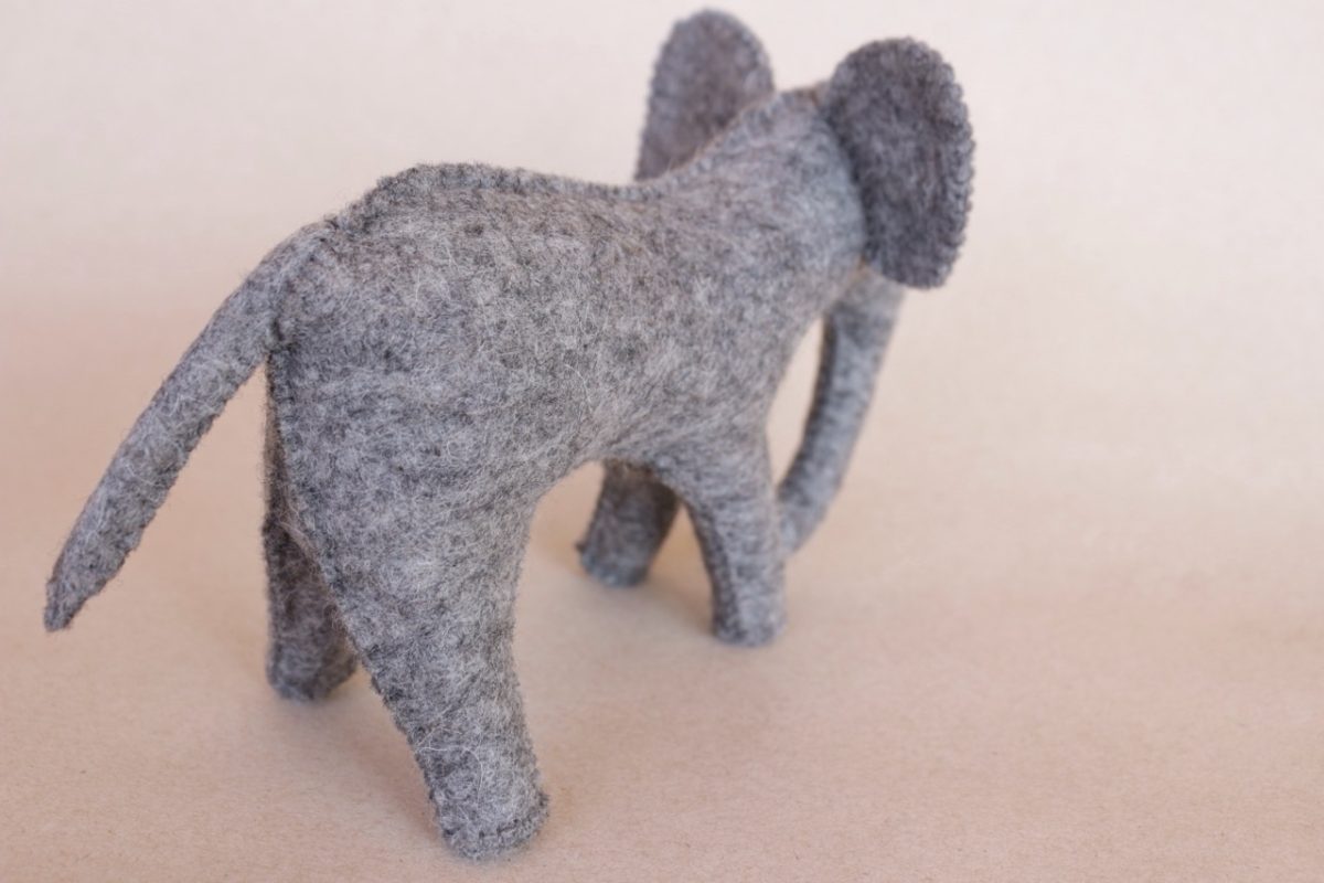 IMG_5521 - Groß IMG_5521 - Groß