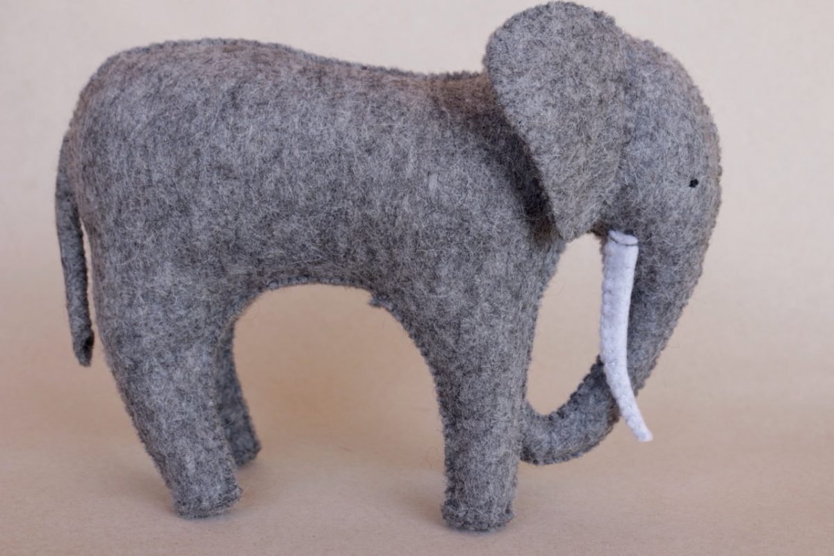 IMG_5573 - Groß IMG_5573 - Groß