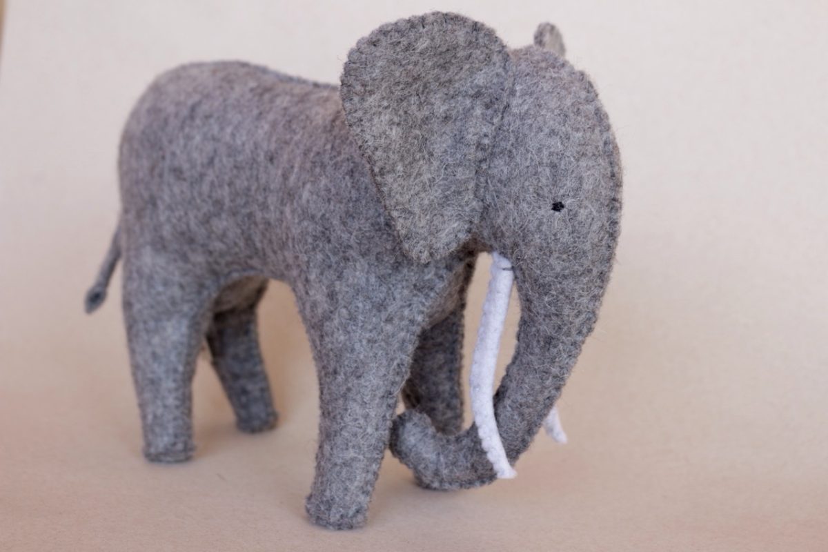 IMG_5580 - Groß IMG_5580 - Groß