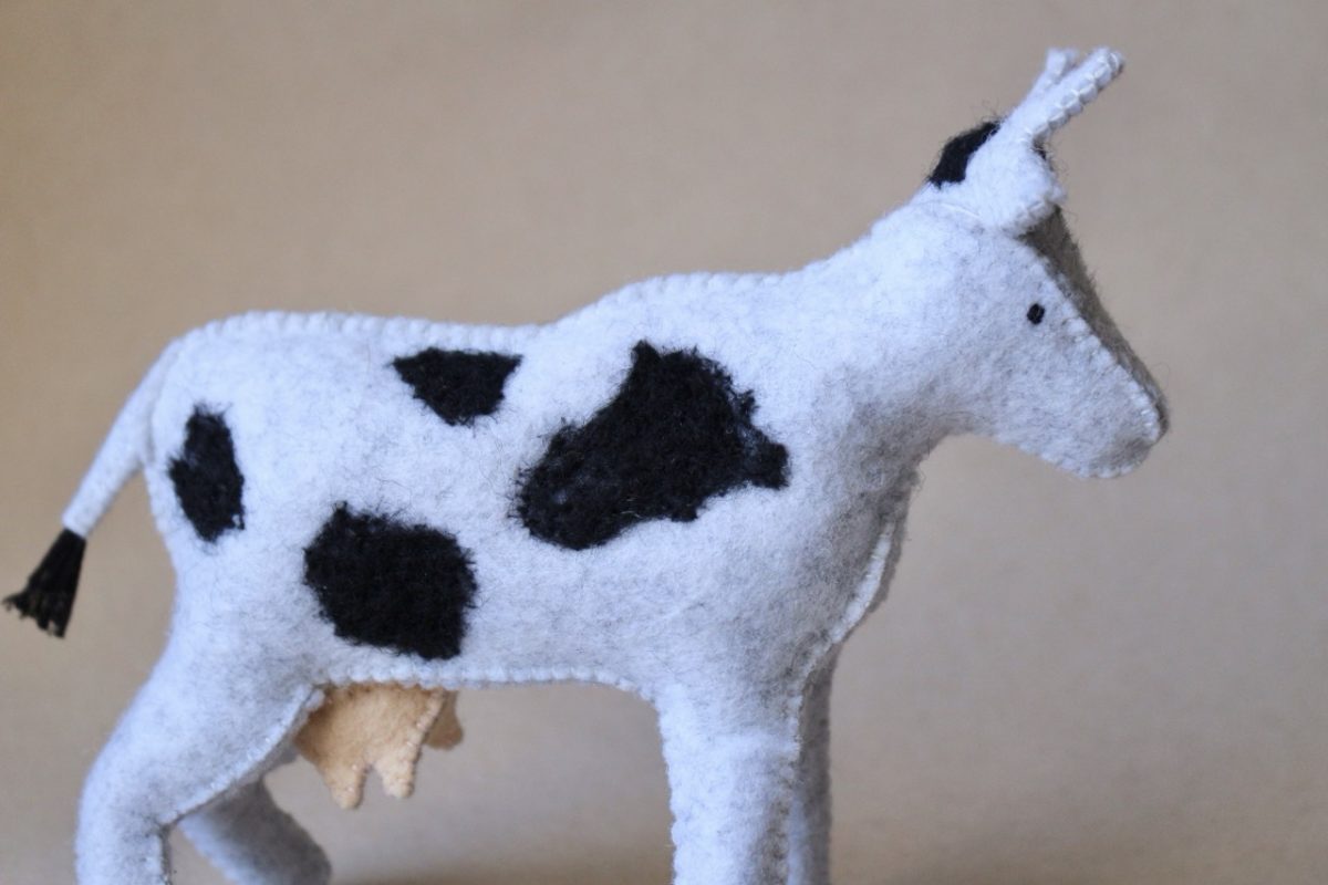 IMG_5666 - Grande IMG_5666 - Grande