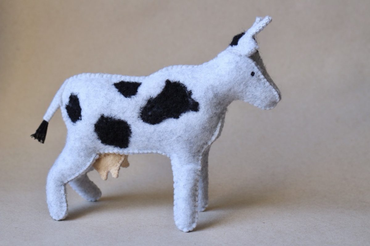 IMG_5667 - Grande IMG_5667 - Grande