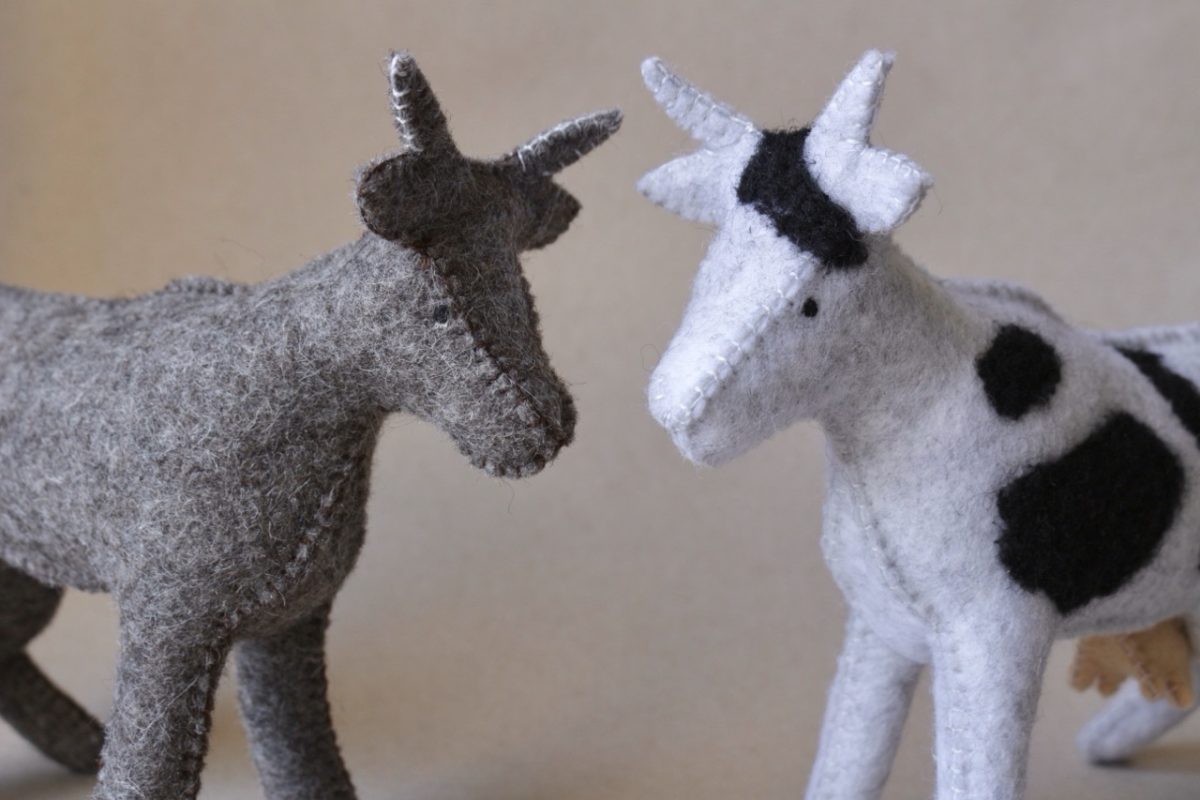 IMG_5678 - Grande IMG_5678 - Grande