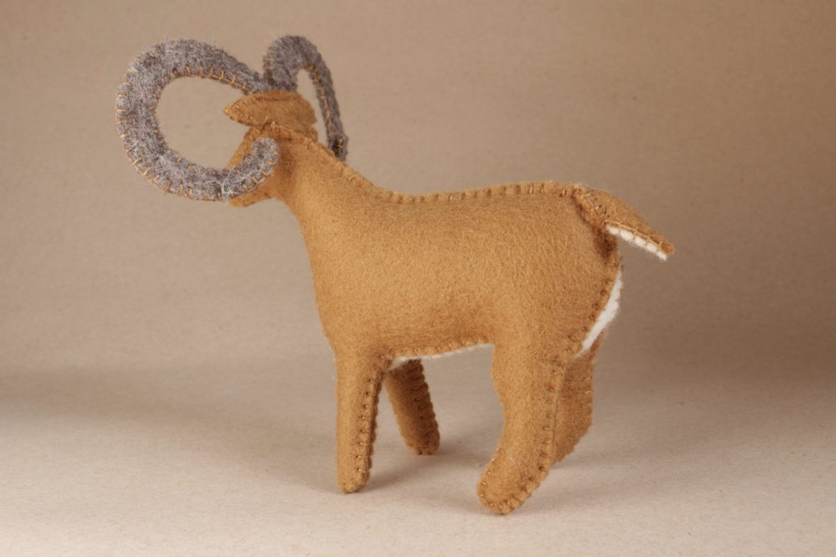 IMG_6213 - Grande IMG_6213 - Grande