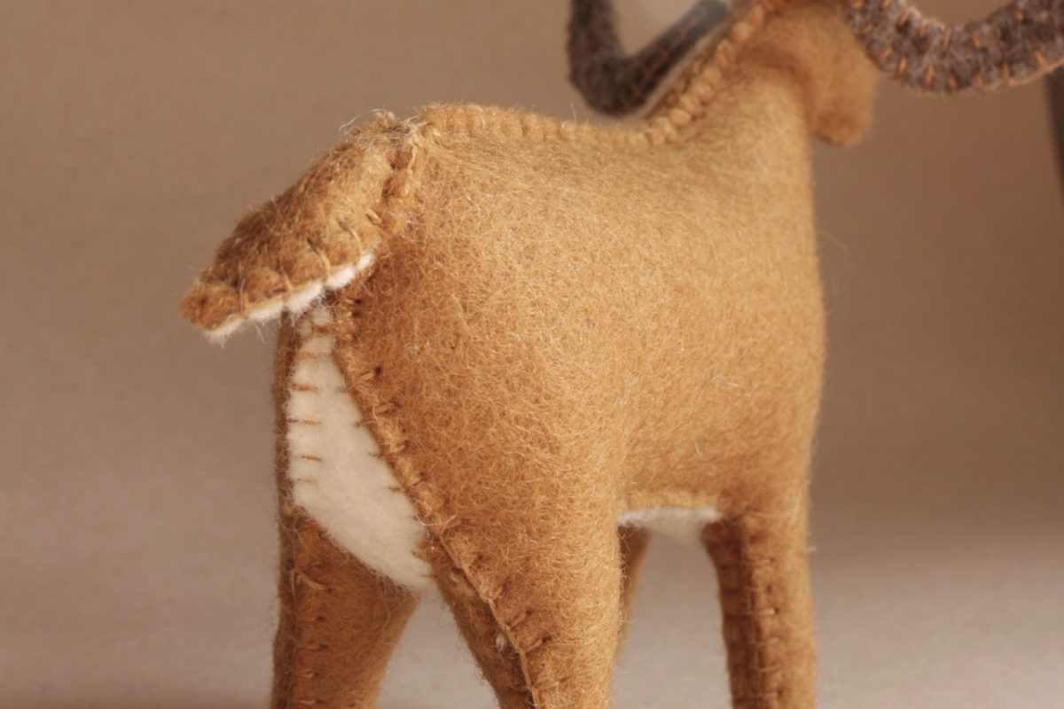 IMG_6216 - Grande IMG_6216 - Grande