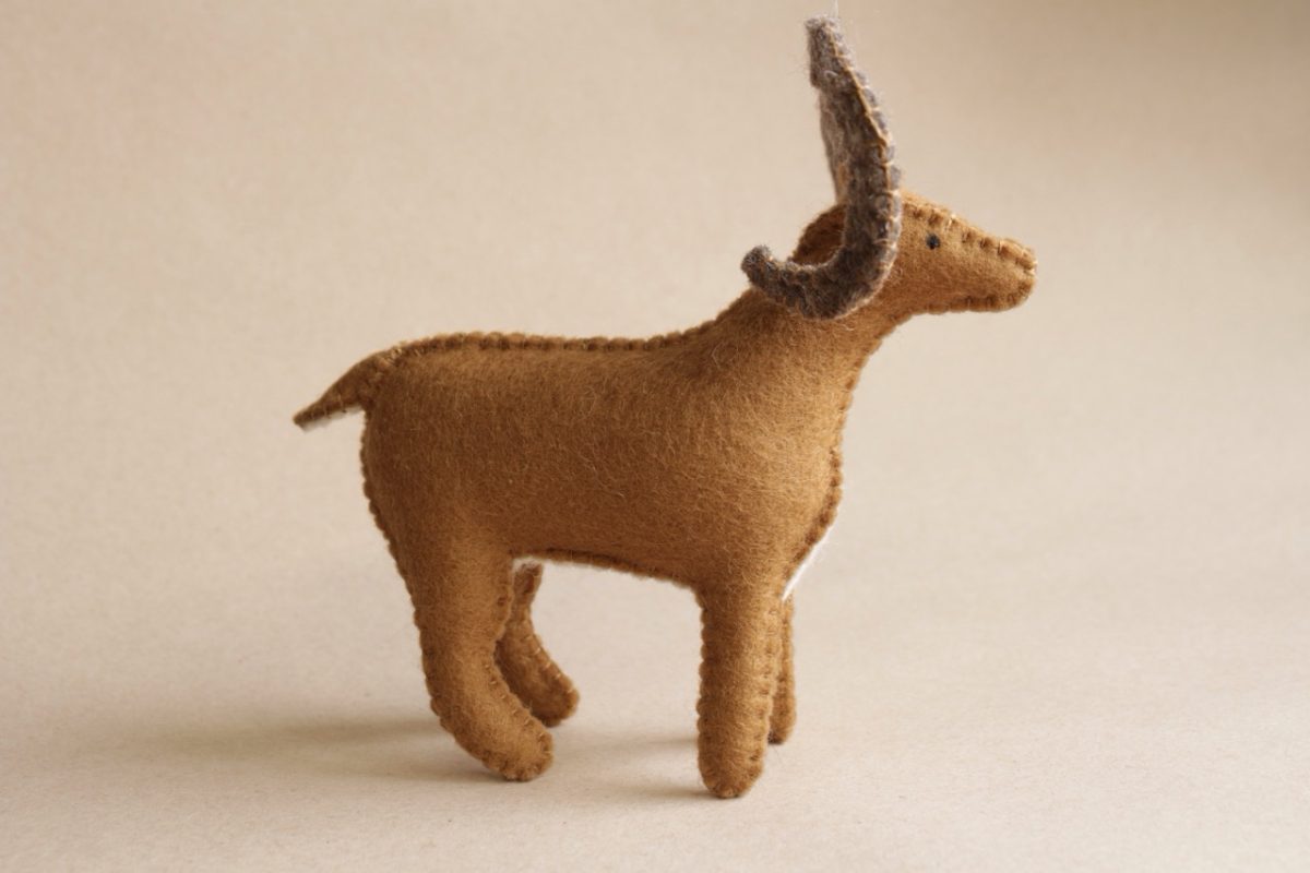 IMG_6249 - Grande IMG_6249 - Grande