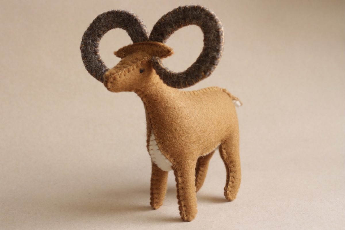 IMG_6250 - Grande IMG_6250 - Grande