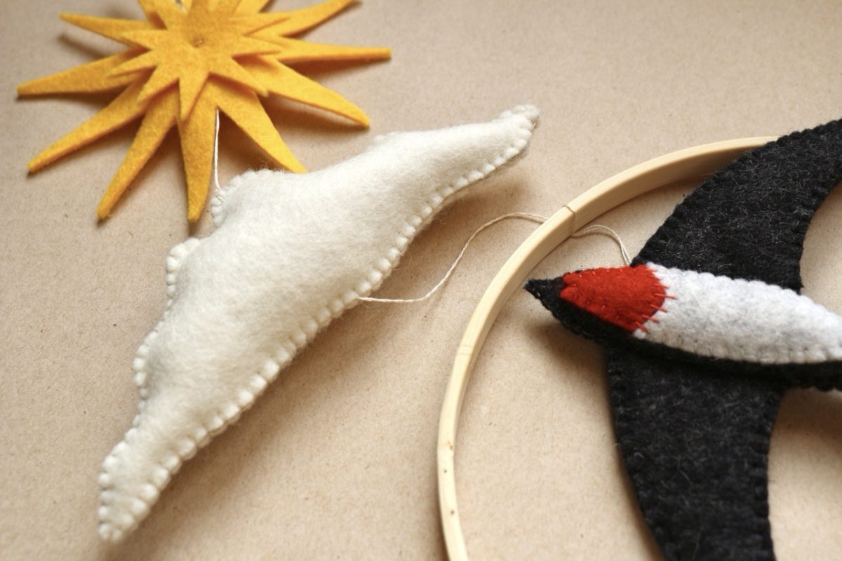 IMG_6322 - Grande IMG_6322 - Grande