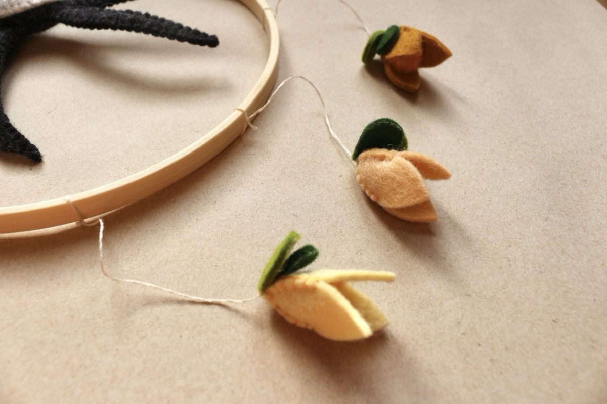 IMG_6326 - Grande IMG_6326 - Grande