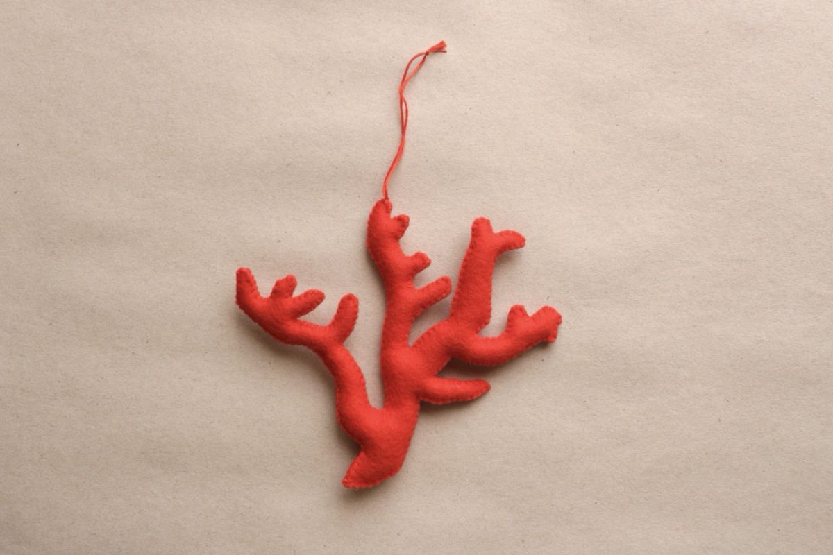 IMG_6532 - Groß IMG_6532 - Groß