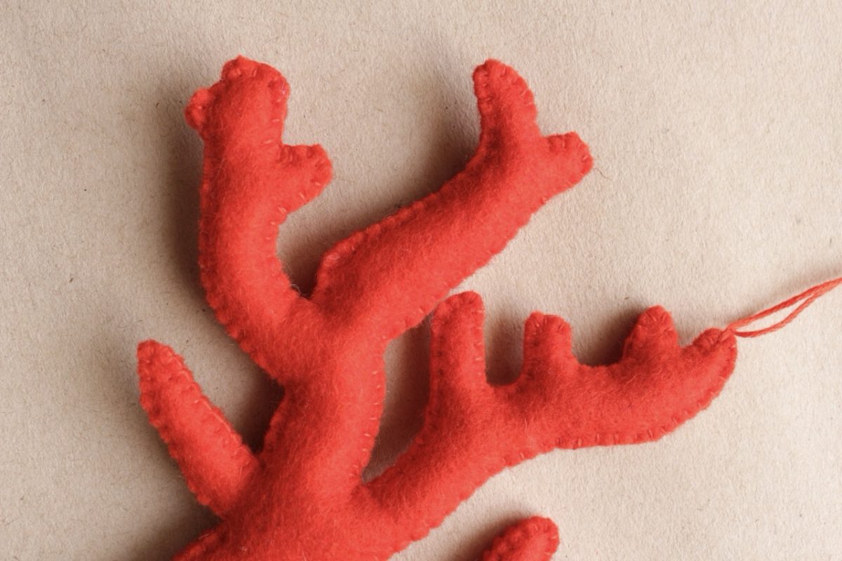 IMG_6538 - Groß IMG_6538 - Groß