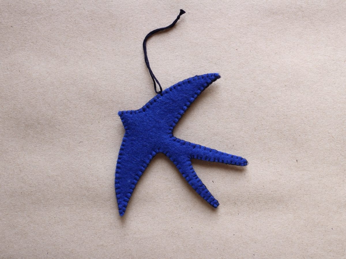 IMG_6556 - Groß IMG_6556 - Groß