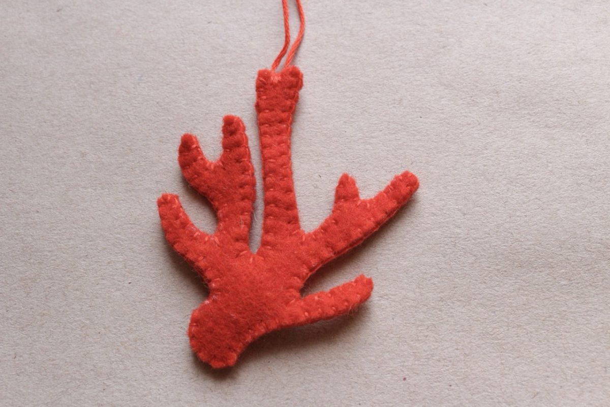 IMG_6576 - Large IMG_6576 - Large