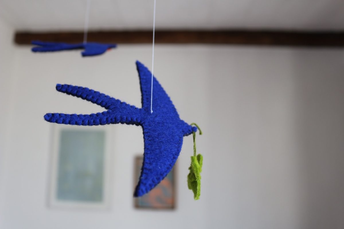 IMG_6632 - Grande IMG_6632 - Grande