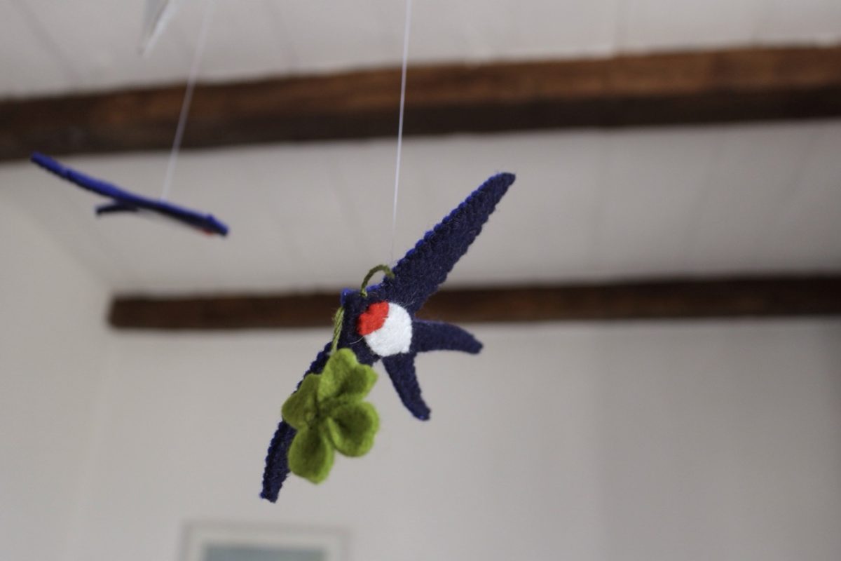 IMG_6650 - Grande IMG_6650 - Grande