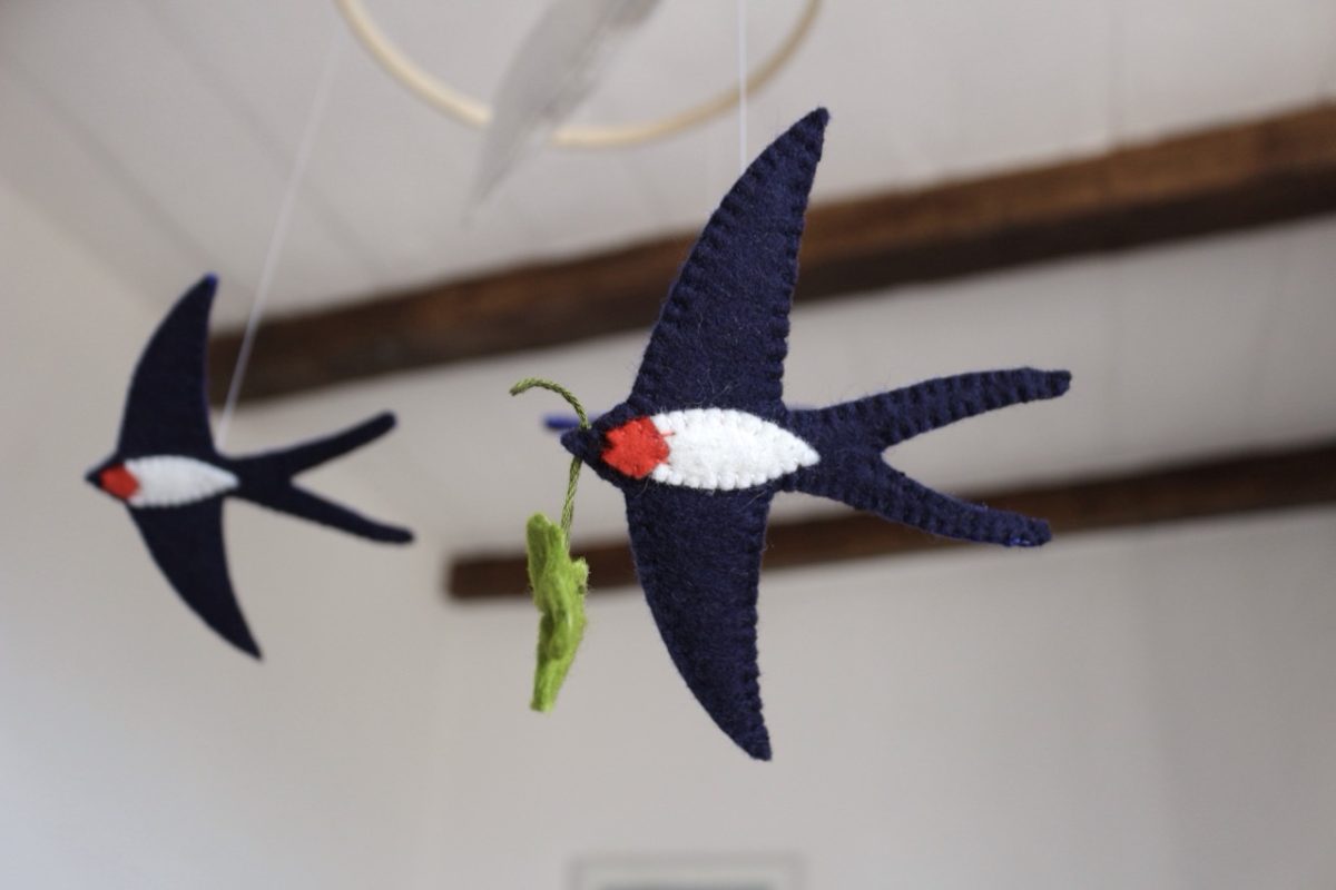 IMG_6652 - Grande IMG_6652 - Grande