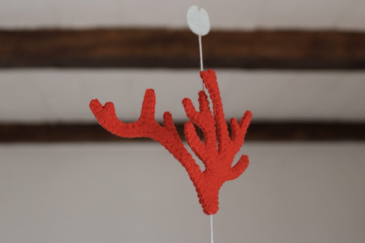 IMG_6666 - Large IMG_6666 - Large