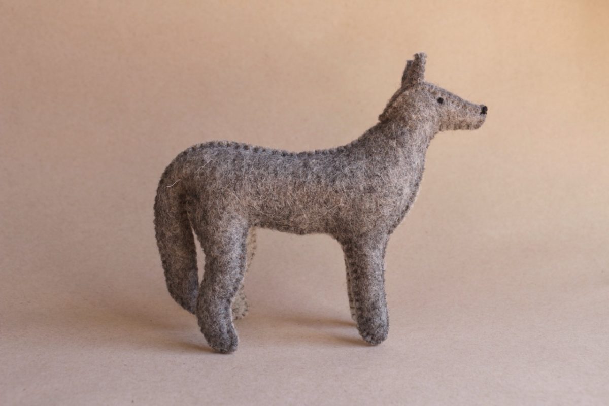 IMG_6685 - Grande IMG_6685 - Grande