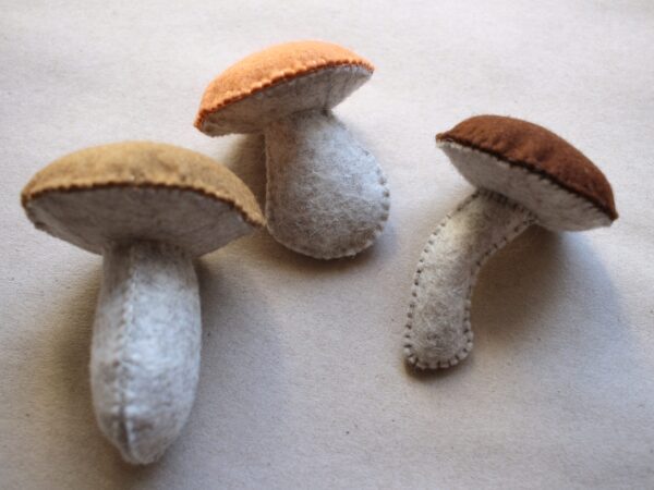 Steinpilz aus Filz
