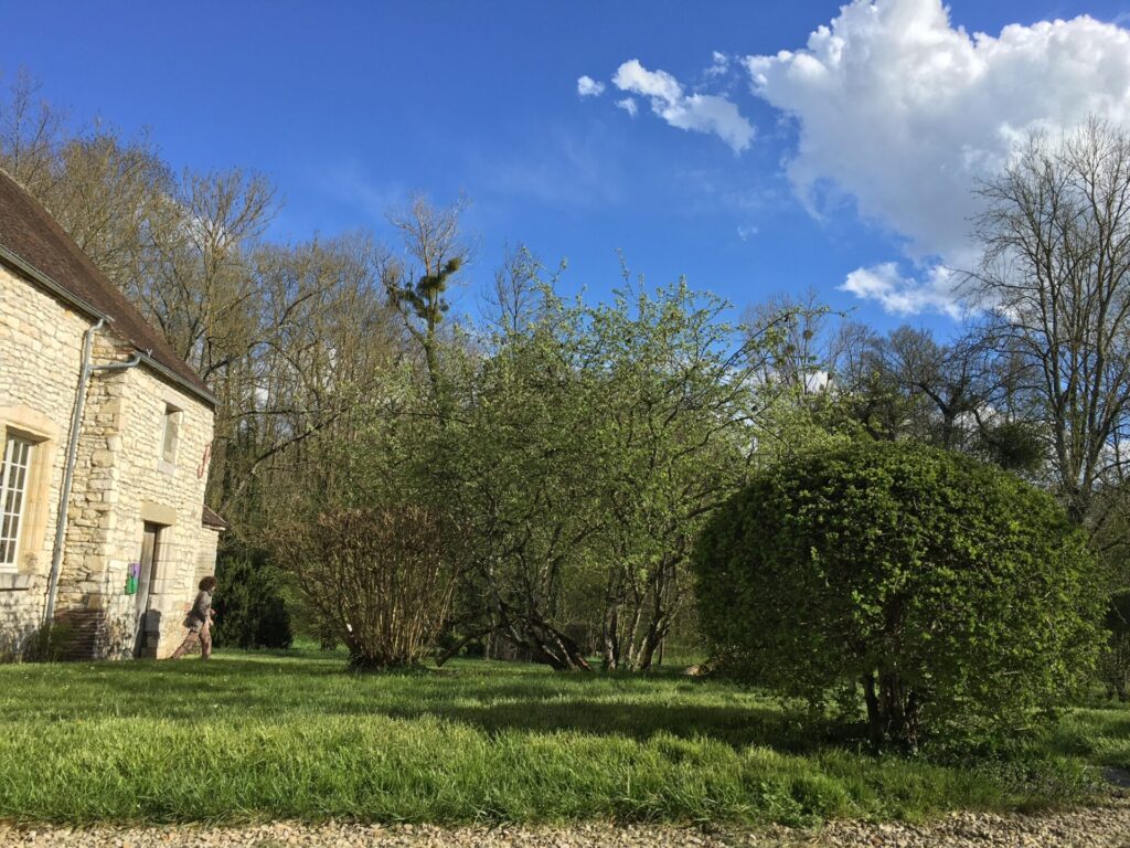 Vue du jardin du musée